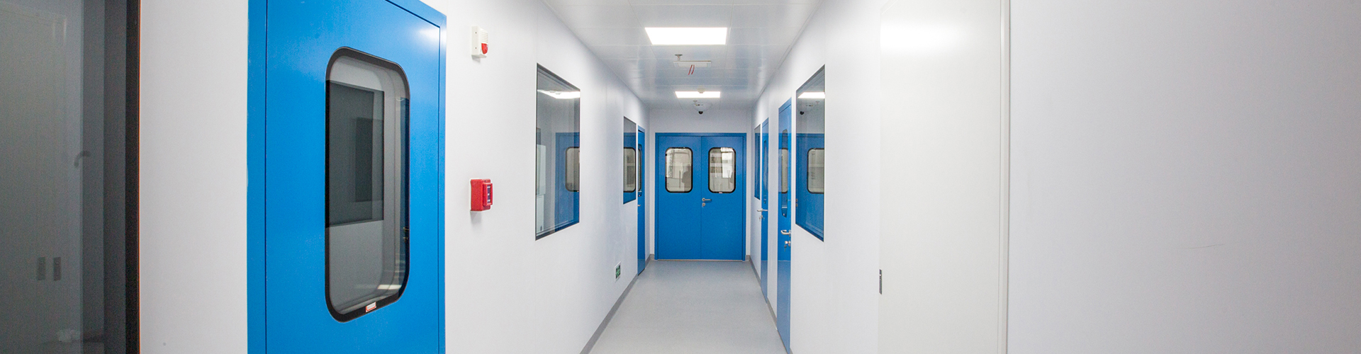 Cleanroom Doors and Windows